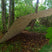 Load image into Gallery viewer, DD Tarp XL 4m x 4m (Choice of colour)