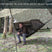 Load image into Gallery viewer, DD Nest Hammock - MC