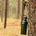 Load image into Gallery viewer, DD Thermal Water Bottle
